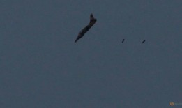 以色列对叙利亚发动数月来对伊朗代理人最猛烈的袭击