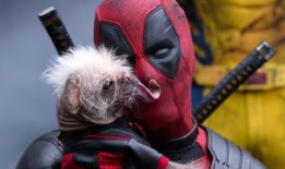 狗狗解释：死侍和金刚狼的漫画历史