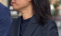 希金斯，雷诺兹的律师就克雷德林的“阴谋”指控展开拉锯战