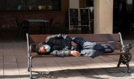 葵花籽油销量超过橄榄油