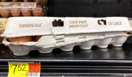 鸡蛋价格终于崩溃;这是为什么