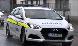 在科克市查获枪支弹药后，两人被捕