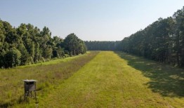 阿拉巴马州南部4300英亩的猎人天堂以1100万美元的价格出售：下一步是什么？