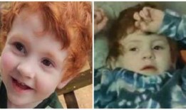 凤凰·威尔克森的母亲“震惊”，阿拉巴马州失踪4岁孩子的搜救工作仍在继续