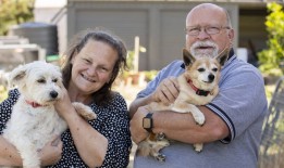 政策制定者对解决我们的住房问题不感兴趣，这是一个很大的原因