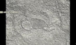 重建你的生活：克服严重车祸伤害的后果