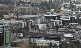 贝尔维尤的犯罪率和汽车盗窃案呈下降趋势