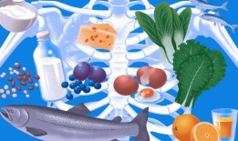 这些营养素可以增强老化的骨骼