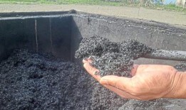 生物炭如何促进植物生长并帮助应对气候变化