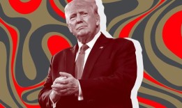 唐纳德·特朗普表示，他将让埃隆·马斯克审计整个联邦政府