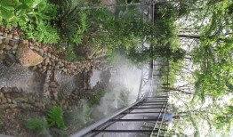 马来西亚的树顶景点