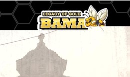 我们的孩子应该担心的是他们的成绩，而不是他们的安全