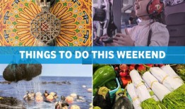 卡塔尔周末（2024年11月14日至16日）要做的事情