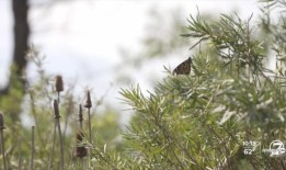 通过清溪峡谷的6号公路双向封闭，因撞车事故