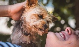 美国研究发现，男人最好的朋友实际上对女人和她们的心理健康更有益