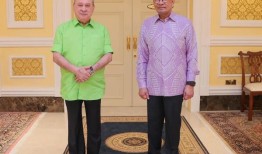 新国王接见安华