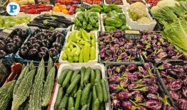 卡塔尔周末（2024年11月14日至16日）要做的事情