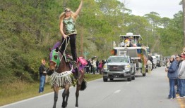 这是2024年莫比尔地区的狂欢节游行时间表