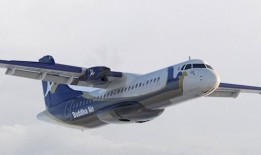 尼泊尔一架载有59人的飞机滑出跑道;无人员伤亡：报告