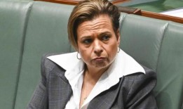 绿日演唱会被“未经授权的无人机”打断