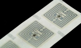 小型科技股可能在2024年大放异彩13只值得买的股票