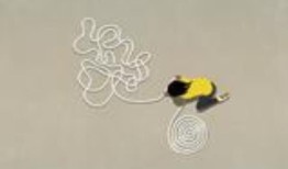 独特的聚合物可以从刚性餐具转变为粘合剂，再转变为可塑塑料