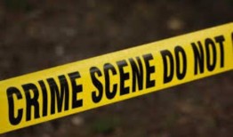 20名医学生在尼日利亚被绑架