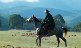 《想象得到那个电话》：标志性的澳大利亚西部片，85%的RT得分得到了特技演员（几乎）热烈的评价