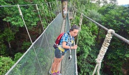 马来西亚的树顶景点