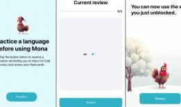 “冷火鸡”让你在打开上瘾的应用程序之前练习抽认卡