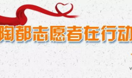 陶都热线背后的神秘力量：一网打尽陶瓷圈的秘密通道！