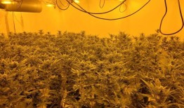 利明顿：计划在奥克黑文临终关怀医院附近建造30所房屋