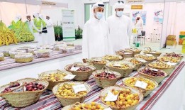 沙迦商会将于7月25日推出“Al Dhaid湿地”