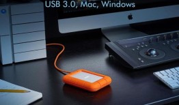 荷花节彰显了首都的文化价值