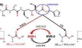 独特的聚合物可以从刚性餐具转变为粘合剂，再转变为可塑塑料