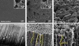 膜技术：深入观察最小的毛孔