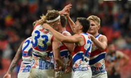 狗需要更多的手来做轻松的工作