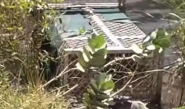 “澳大利亚，快下来吧”：一家人在阿盖尔湖大坝度假的视频中令人不寒而栗的细节