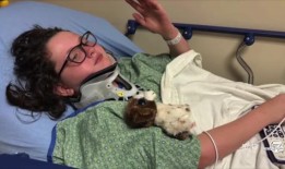 10岁女孩在离开奥罗拉学校时被车撞，她敦促司机提高警惕