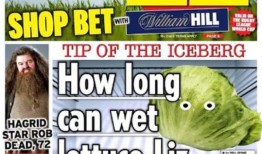 利兹·特拉斯的“荣誉名单”上有一串生菜，这让网友们捧腹大笑