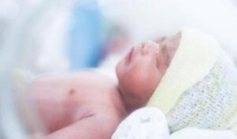 阻燃剂与早产有关