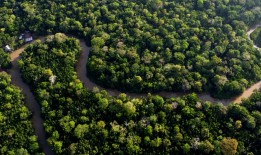 八个亚马逊雨林国家14年来首次举行峰会