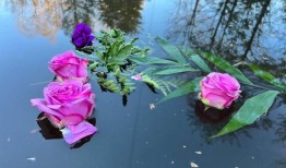 痴呆症：关于被忽视