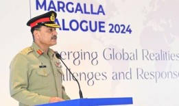 印度的极端主义意识形态也对英国、美国、加拿大的少数民族构成威胁