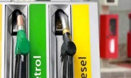 11月11日公布的汽油、柴油新鲜价格：在这里查看您所在城市的价格