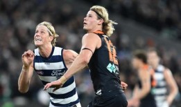 汤姆·德·科宁以蓝带猫赢得兄弟之战