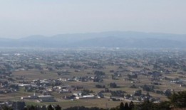 除了拜登，民主党人在谁将成为下一任总统的问题上也存在分歧——是副总统哈里斯，还是发起一场“迷你初选”