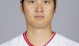 美国职棒大联盟：大谷赢得第二枚银棒，成为美联最佳DH