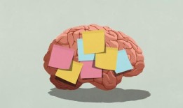 科学家首次发现，男性和女性的大脑工作方式确实不同