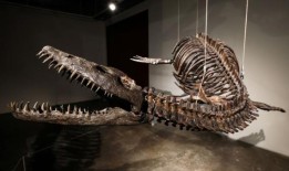 尼斯湖水怪和神秘水怪理论背后的故事——90年前第一张照片